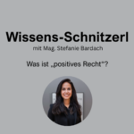 2nd „knowledge snippet“: What is „positive law“?